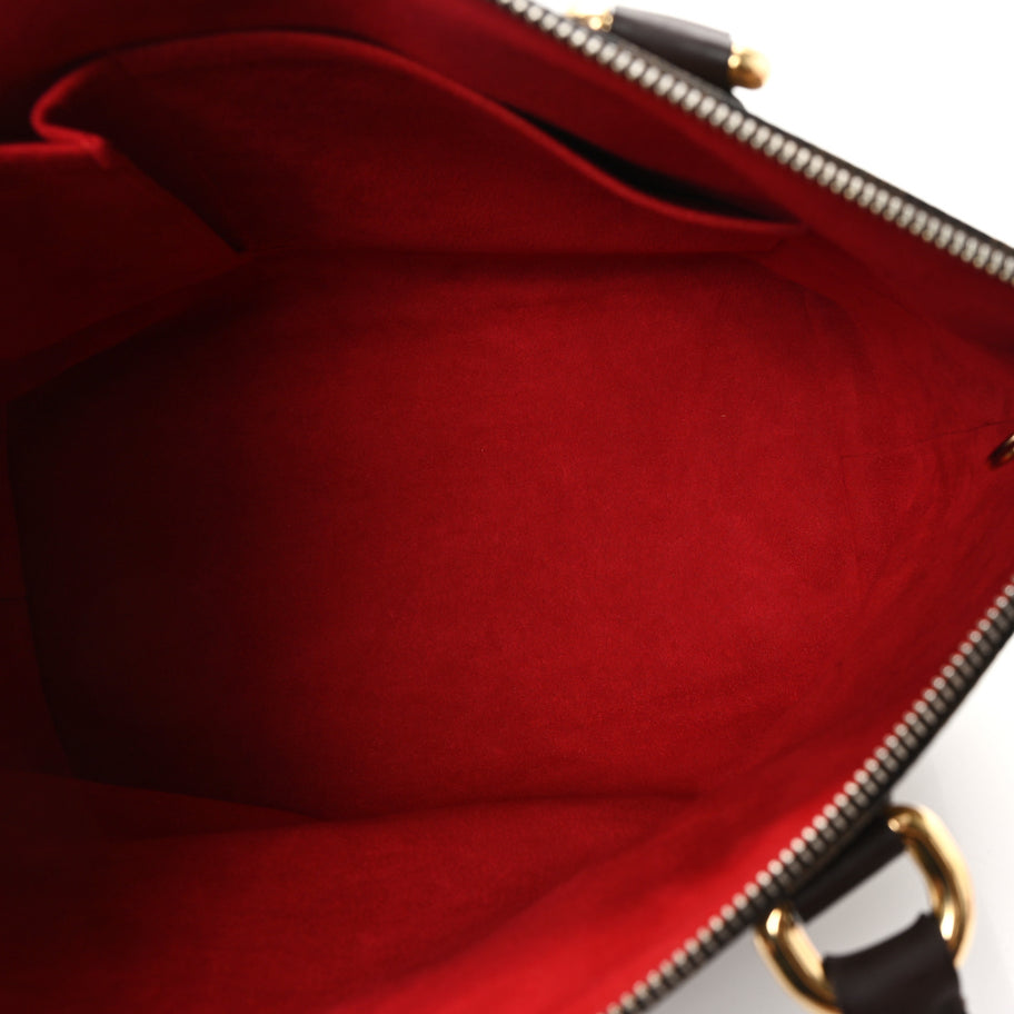 Louis Vuitton Damier Ebene Saleya PM Image 5