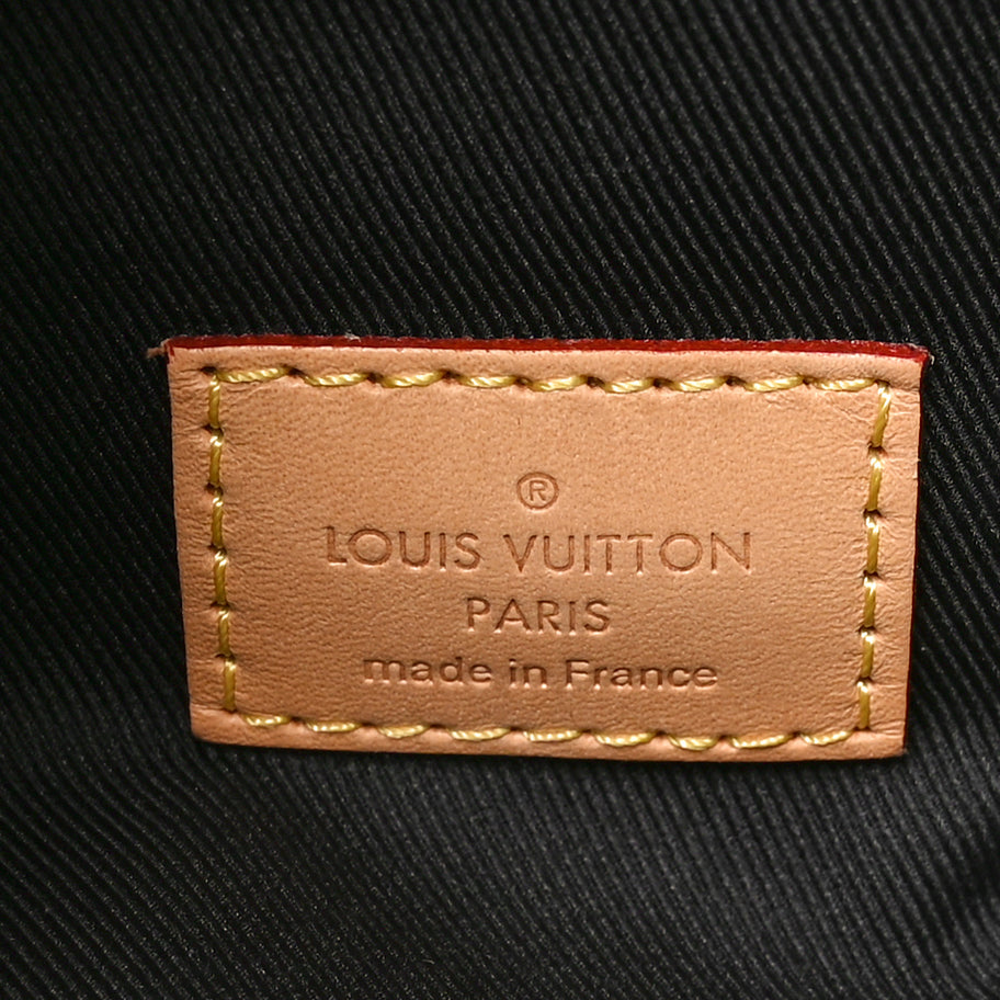 Louis Vuitton Monogram Bumbag Image 6