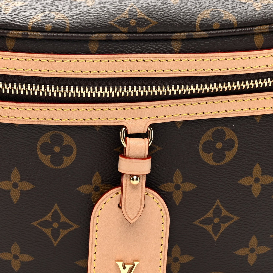 Louis Vuitton Monogram High Rise Bumbag Image 7