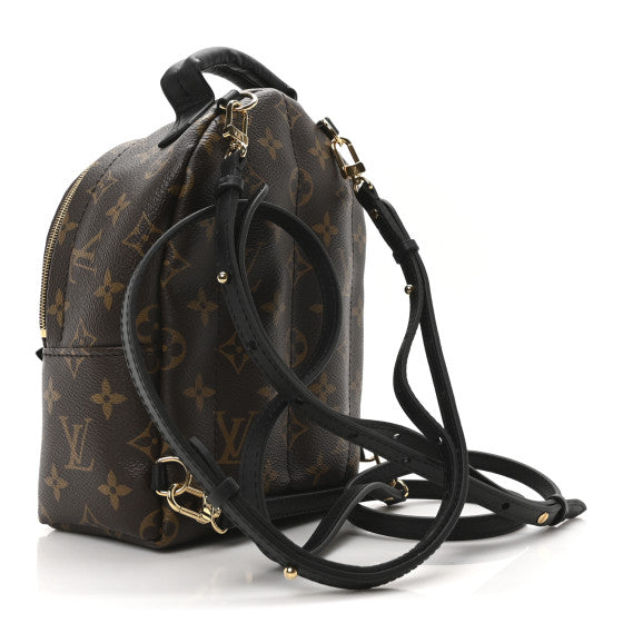 Louis Vuitton Monogram Palm Springs Backpack Mini Image 3