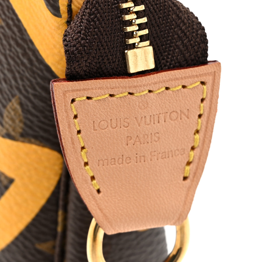 Louis Vuitton Monogram Tahitienne Cancun Mini Pochette Accessories Image 7