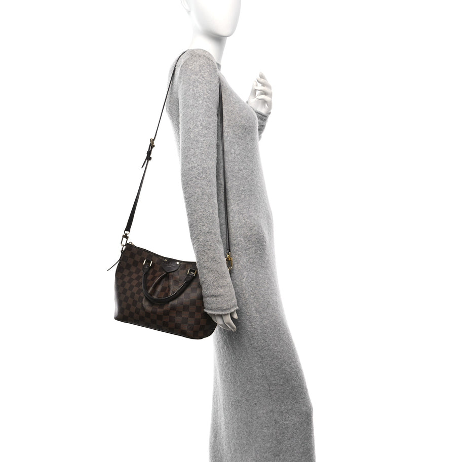 Louis Vuitton Damier Ebene Siena PM Image 2
