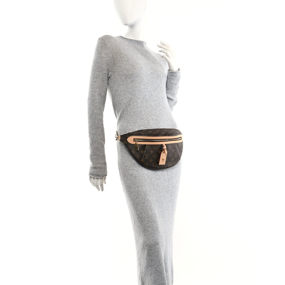 Louis Vuitton Monogram High Rise Bumbag Image 2