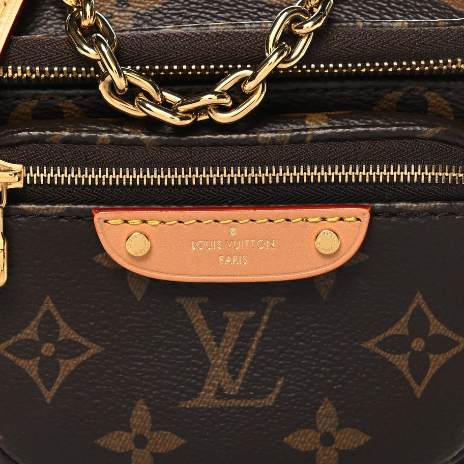 Louis Vuitton Monogram Mini Bumbag Image 7