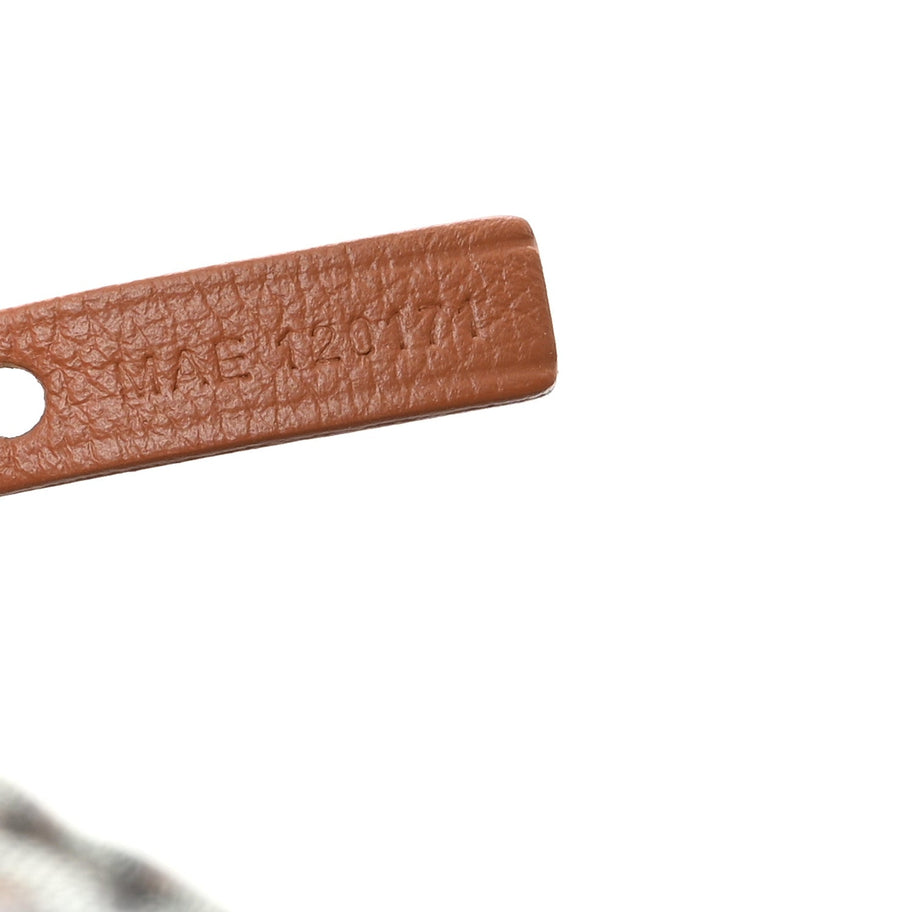 Goyard Goyardine Saint Louis PM Black Gold Image 7