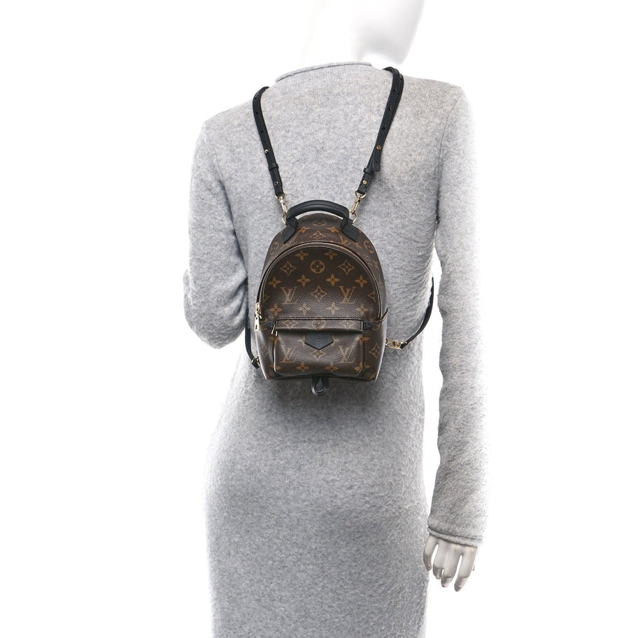 Louis Vuitton Monogram Palm Springs Backpack Mini Image 2