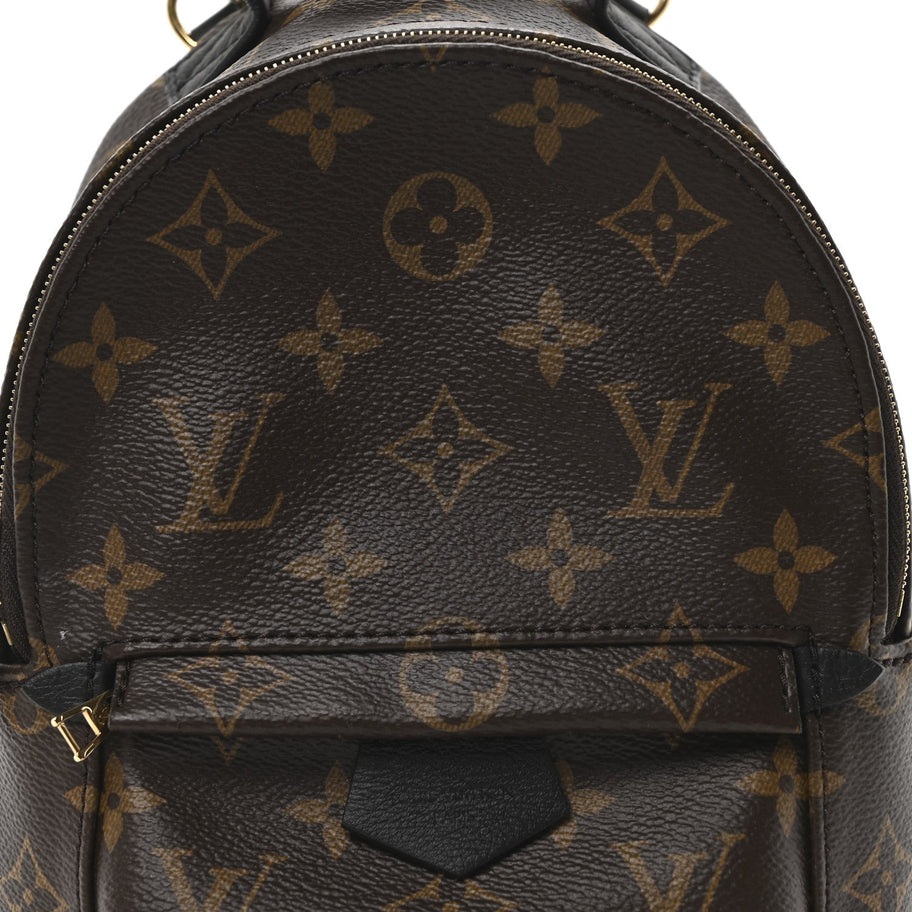 Louis Vuitton Monogram Palm Springs Backpack Mini Image 7