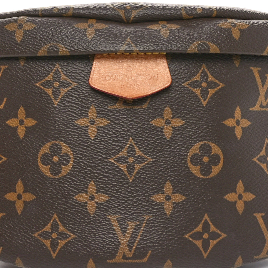 Louis Vuitton Monogram Bumbag Image 7