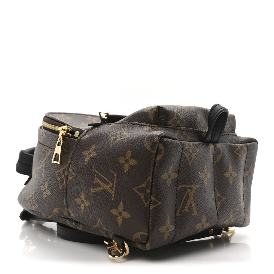 Louis Vuitton Monogram Palm Springs Backpack Mini Image 4