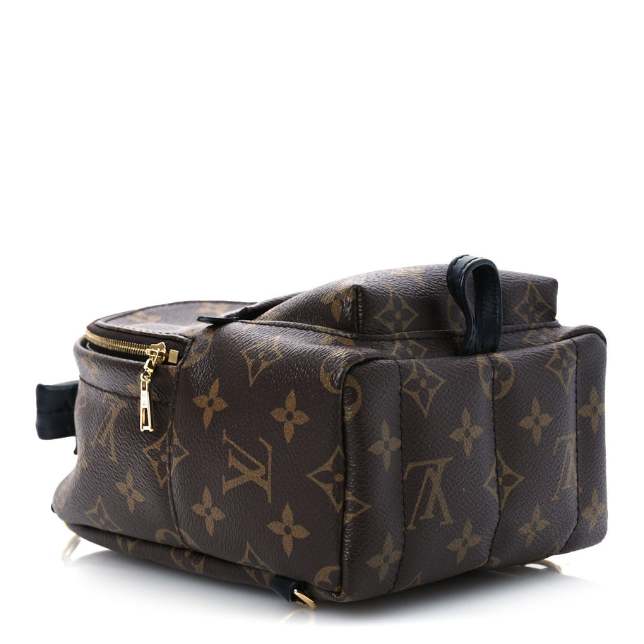 Louis Vuitton Monogram Palm Springs Backpack Mini Image 4