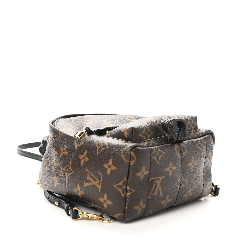 Louis Vuitton Monogram Palm Springs Backpack Mini Image 4