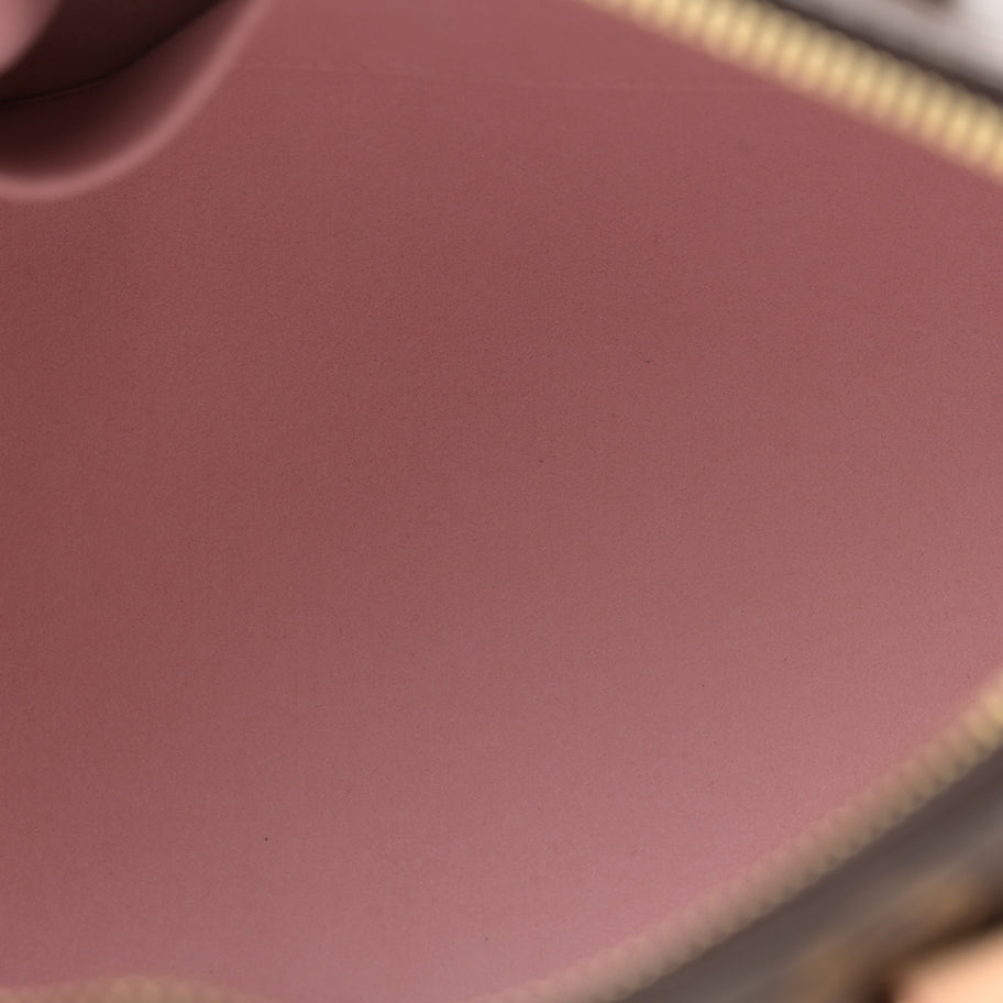 Louis Vuitton LV X TM Monogram Cherry Blossom Speedy Bandouliere 25 Sakura Brown Image 5