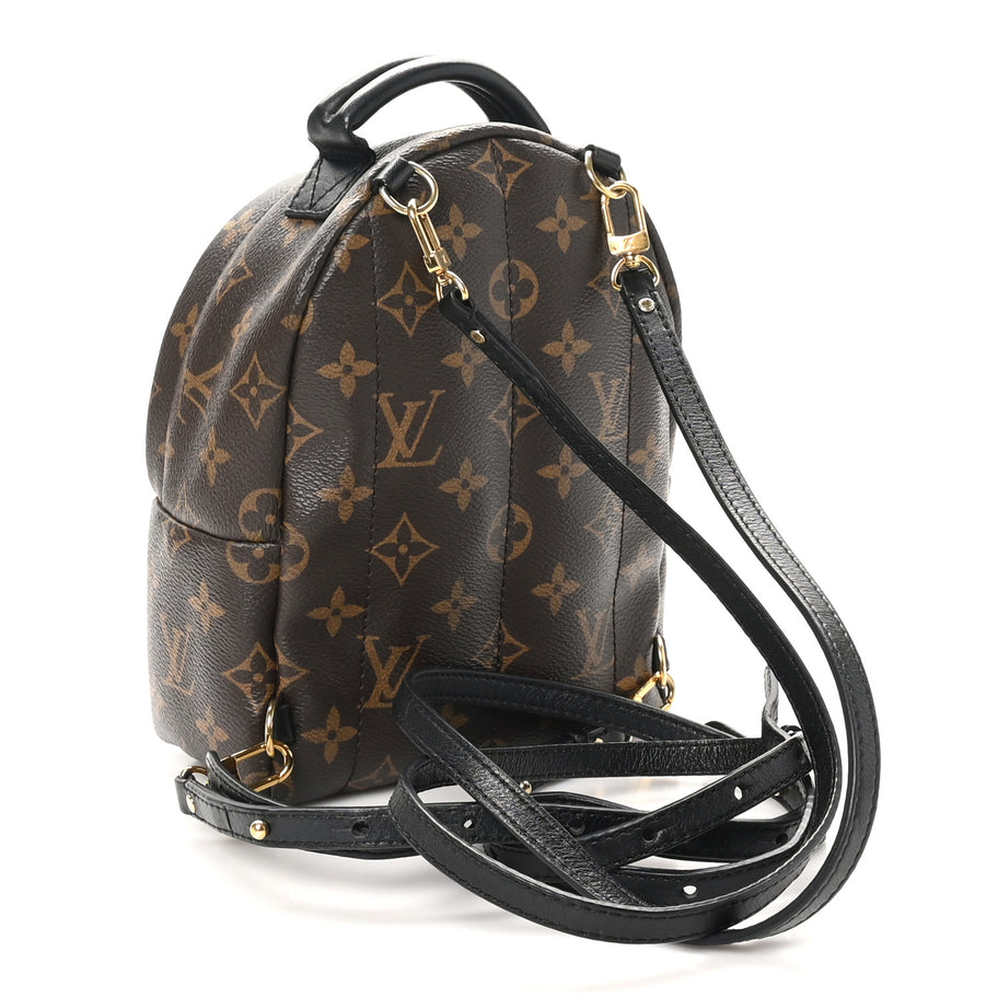 Louis Vuitton Monogram Palm Springs Backpack Mini Image 3