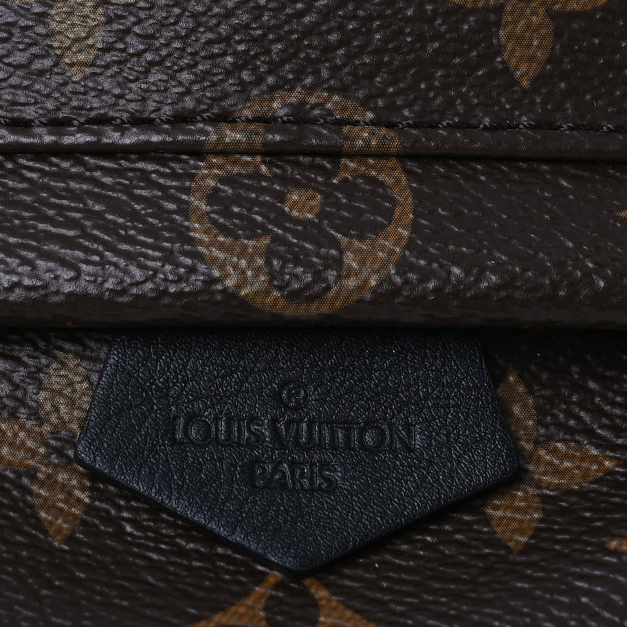 Louis Vuitton Monogram Palm Springs Backpack Mini Image 7
