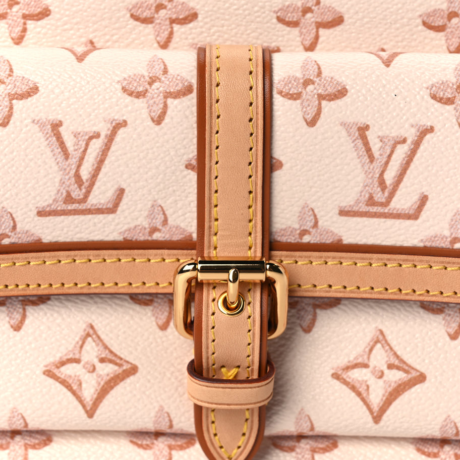 Louis Vuitton Monogram Fall For You Maxi Multi Pochette Accessories Beige Clair Image 6