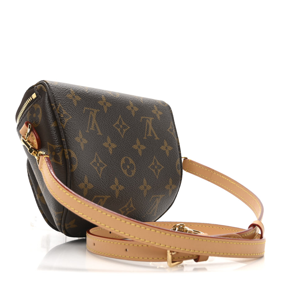 Louis Vuitton Monogram Mini Bumbag Image 3
