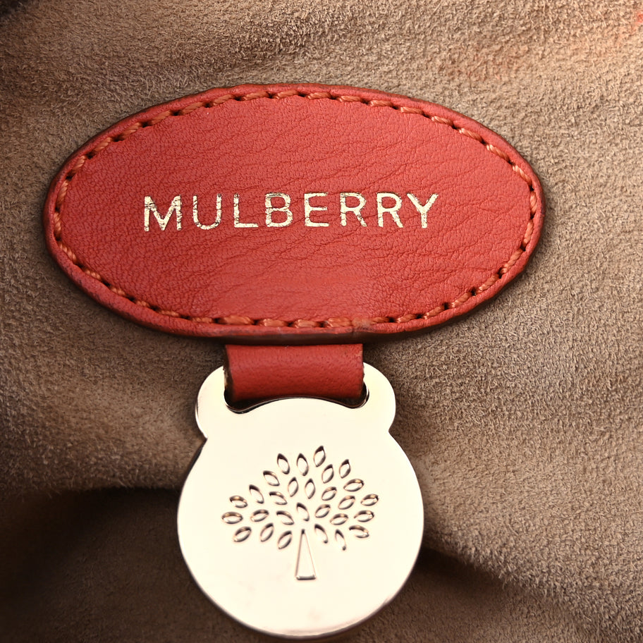 Mulberry Small Classic Grain Bayswater  Coral Image 5