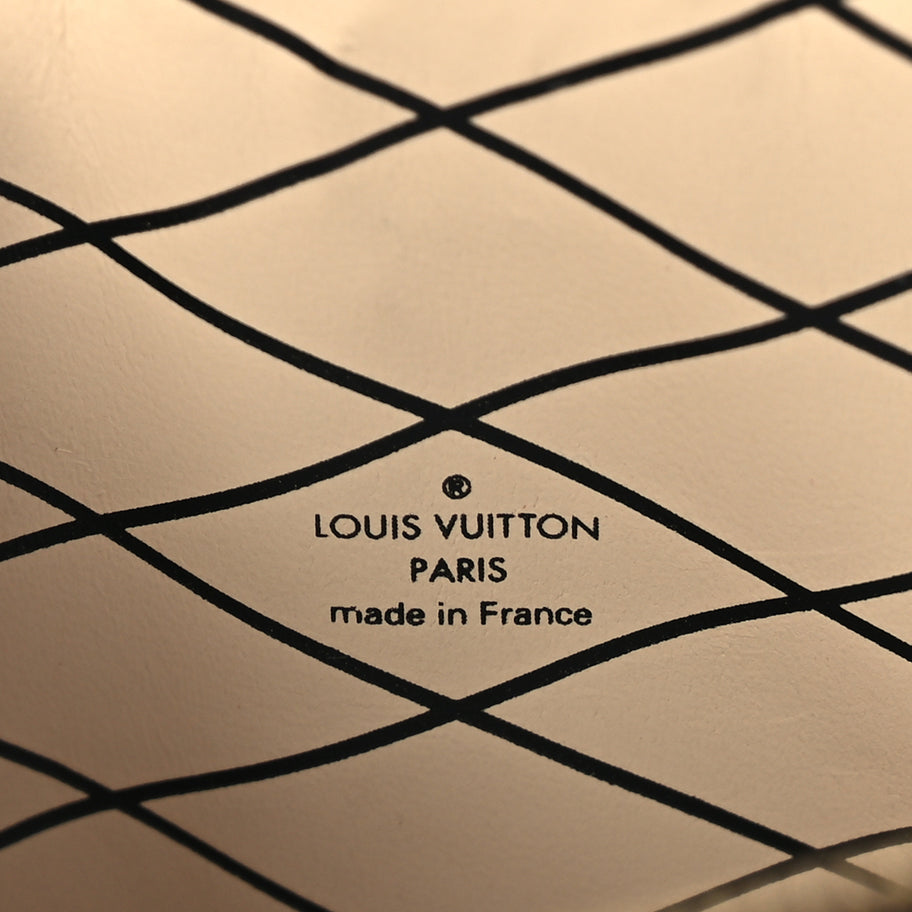 Louis Vuitton Epi Trunk Clutch White Image 5