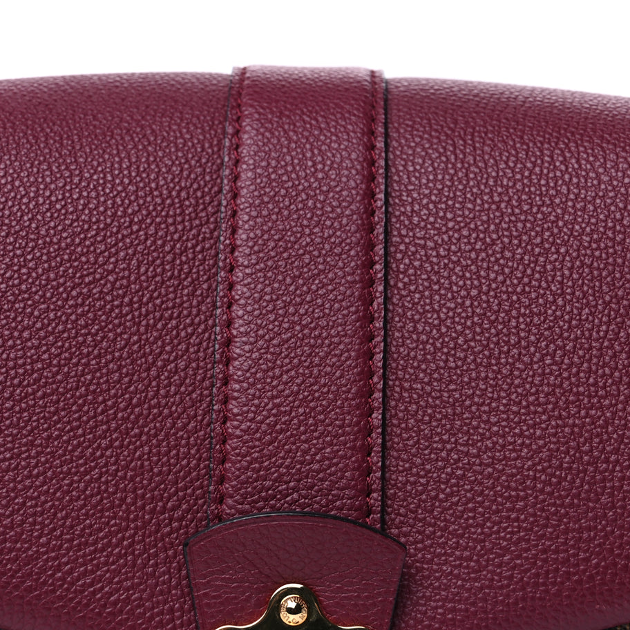 Louis Vuitton Damier Ebene Clapton  Raisin Image 6