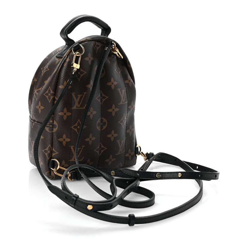  Louis Vuitton Monogram Palm Springs Backpack Mini