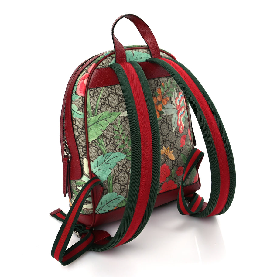 Gucci GG Supreme Monogram Tian Web Small Day Backpack Multicolor Image 2