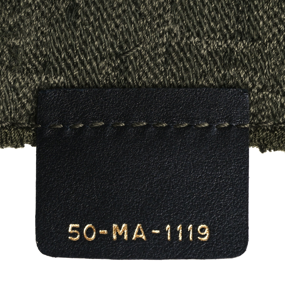 Christian Dior Oblique Embroidered Saddle Belt Pouch Green Image 6