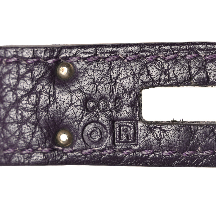 Hermes Togo Birkin 35 Raisin Image 5