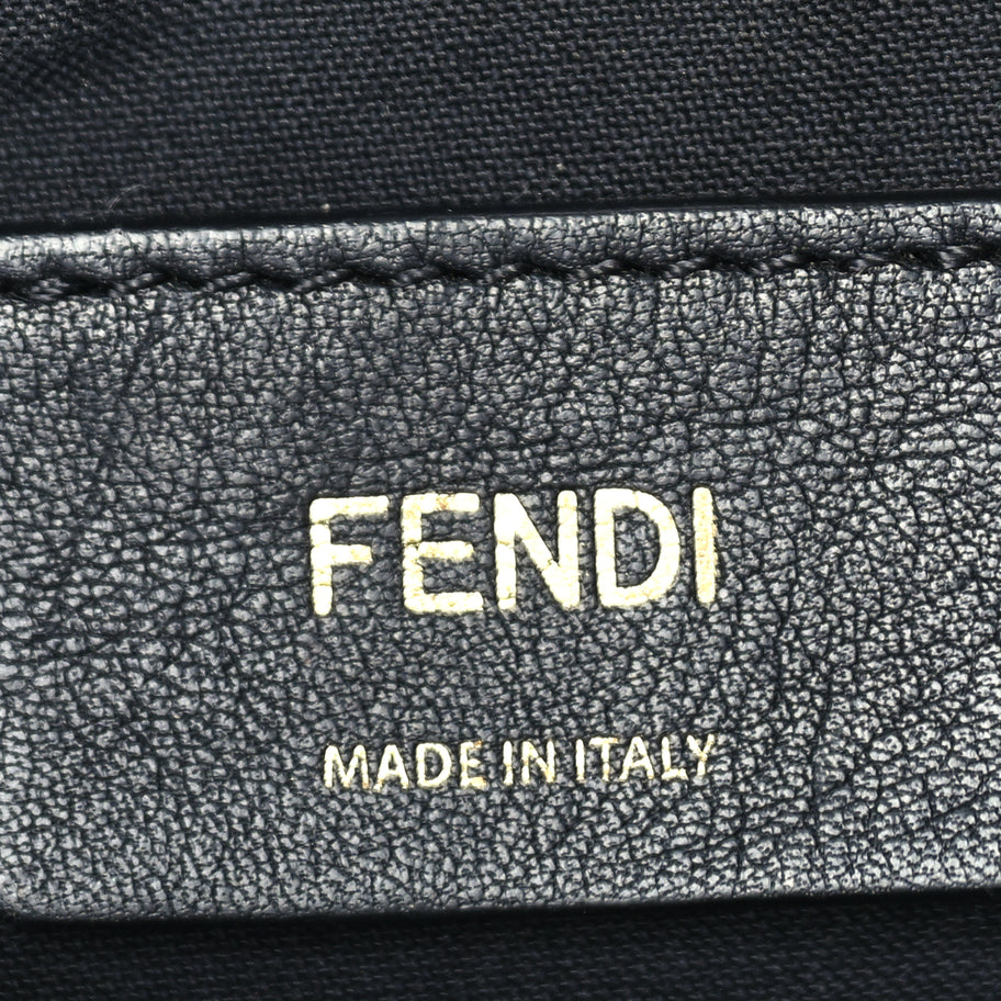 Fendi Vitello Grace Matte Small Fendigraphy Hobo Bag  Black Image 6