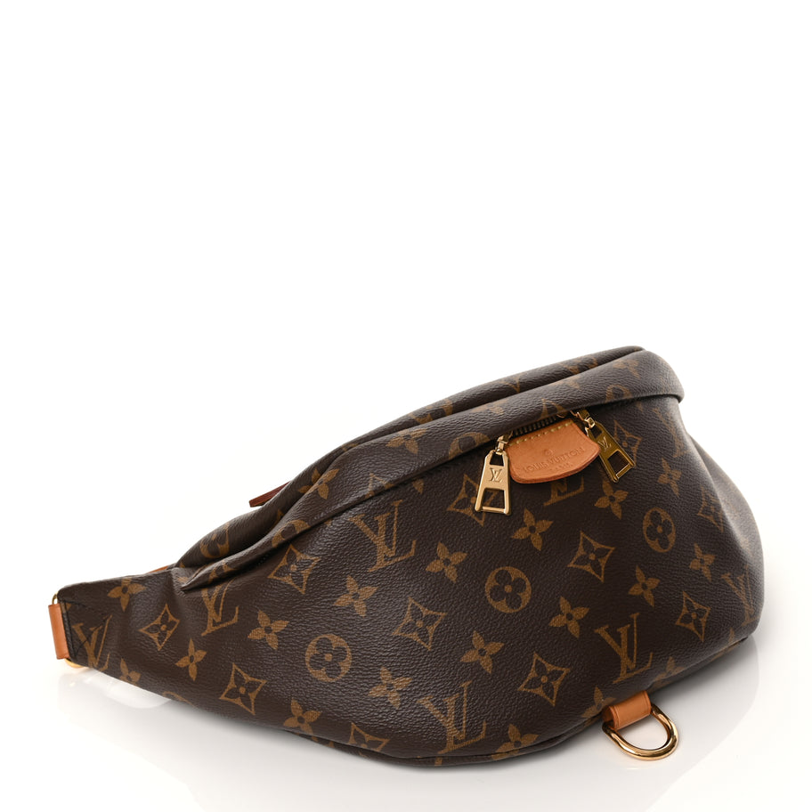 Louis Vuitton Monogram Bumbag Image 3