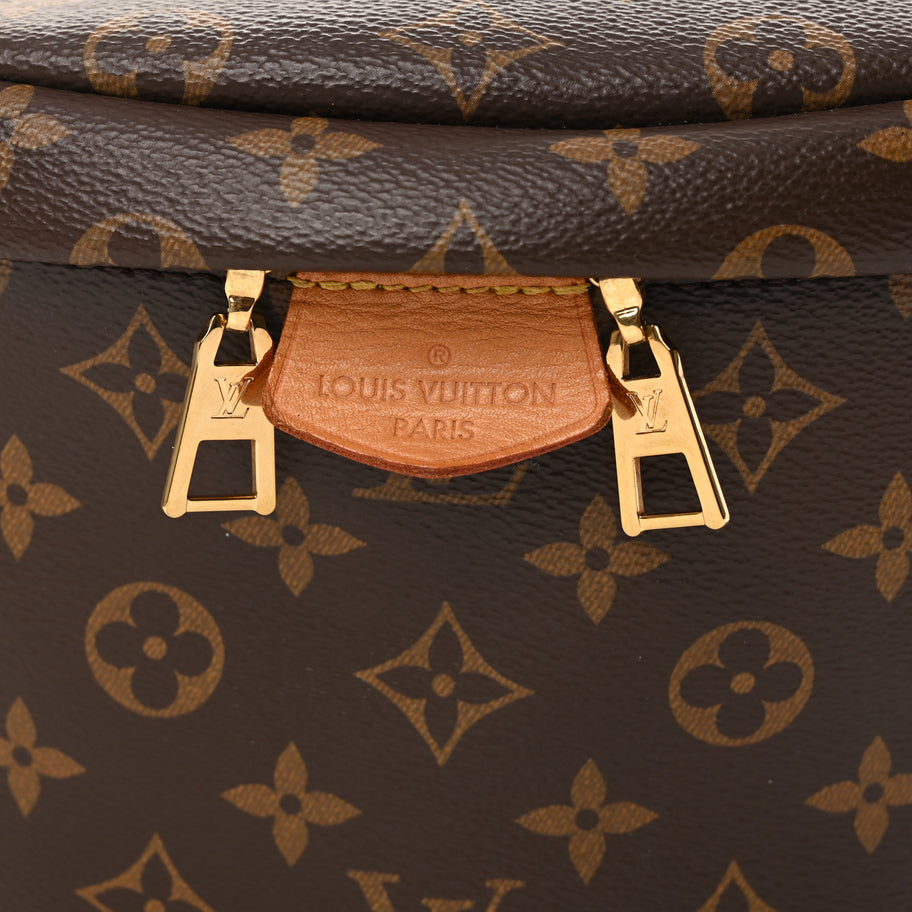 Louis Vuitton Monogram Bumbag Image 4