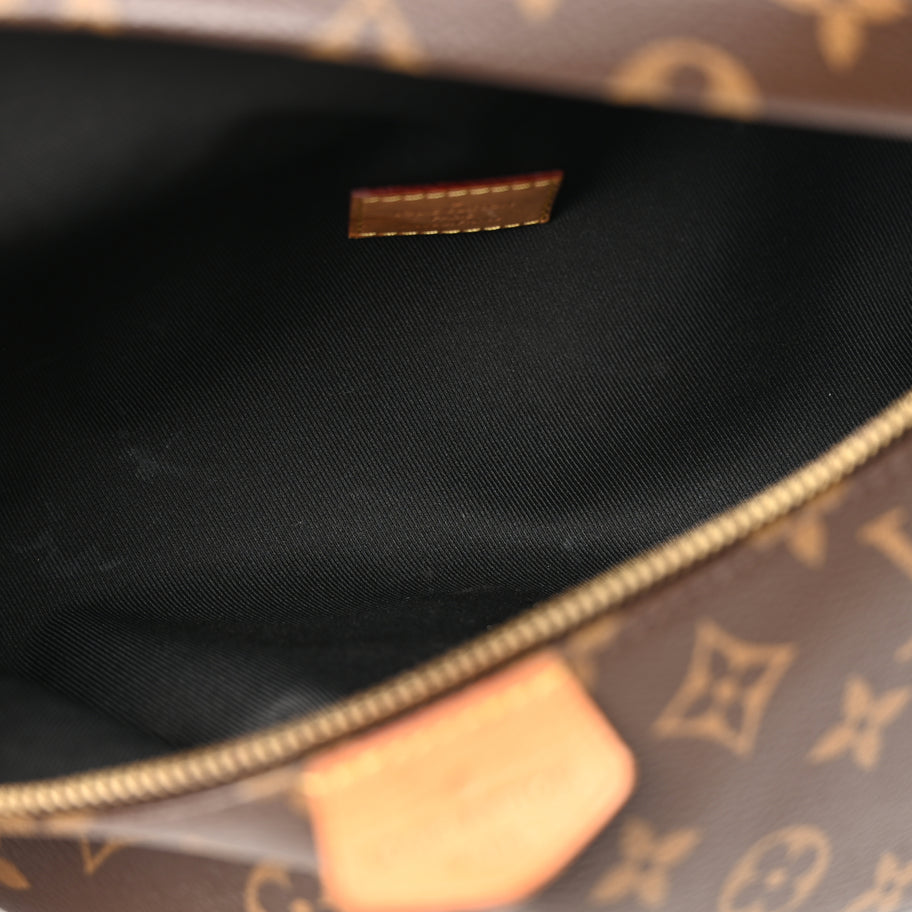 Louis Vuitton Monogram Bumbag Image 5