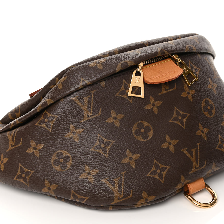 Louis Vuitton Monogram Bumbag Image 7