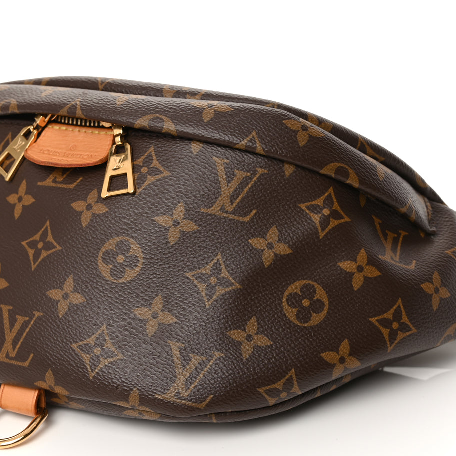 Louis Vuitton Monogram Bumbag Image 8