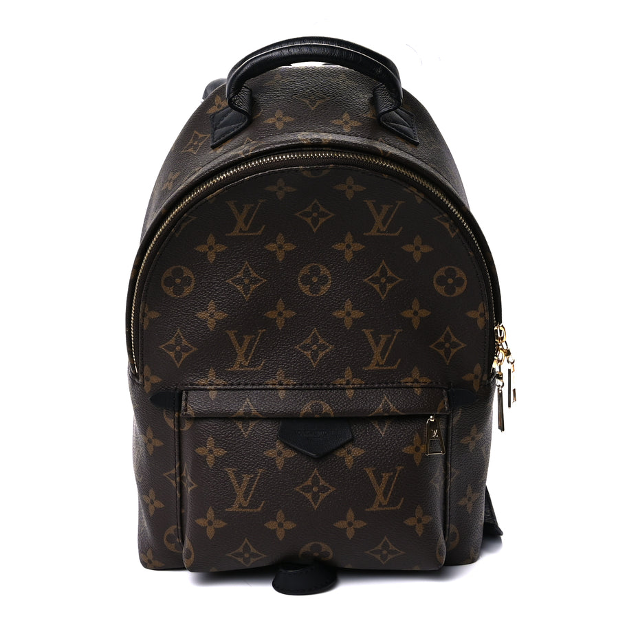 Louis Vuitton Monogram Palm Springs Backpack PM Image 1