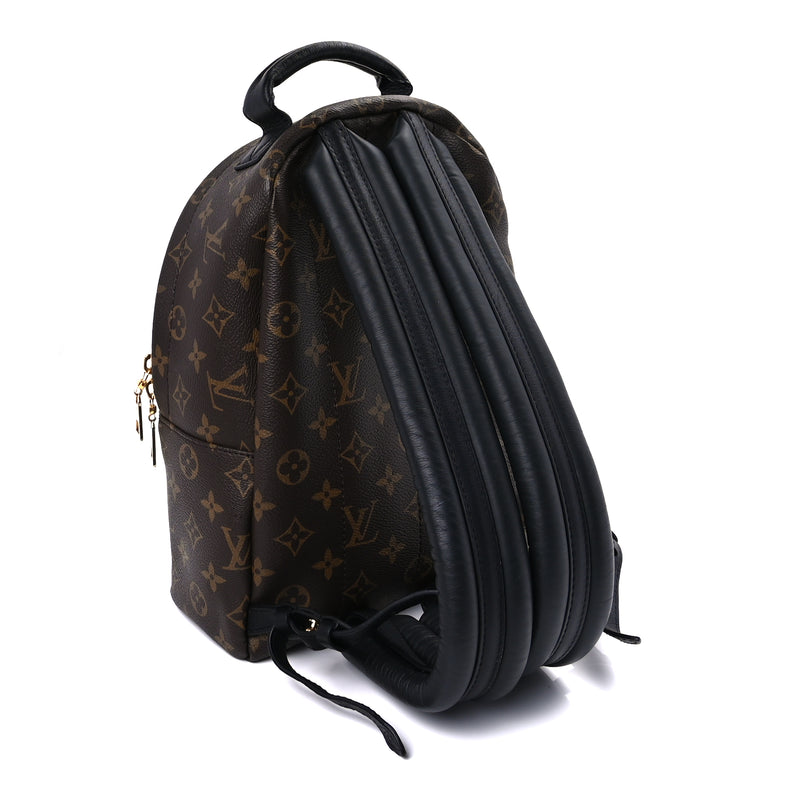  Louis Vuitton Monogram Palm Springs Backpack PM