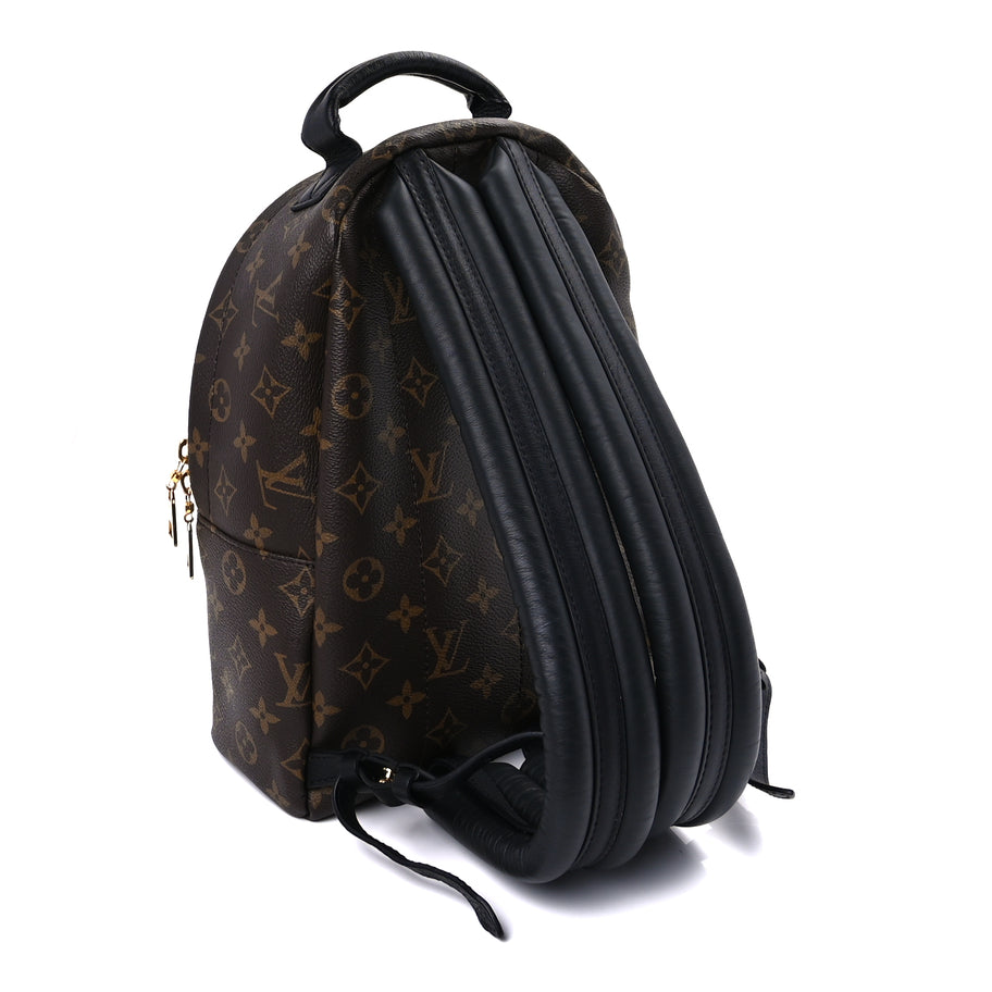 Louis Vuitton Monogram Palm Springs Backpack PM Image 2