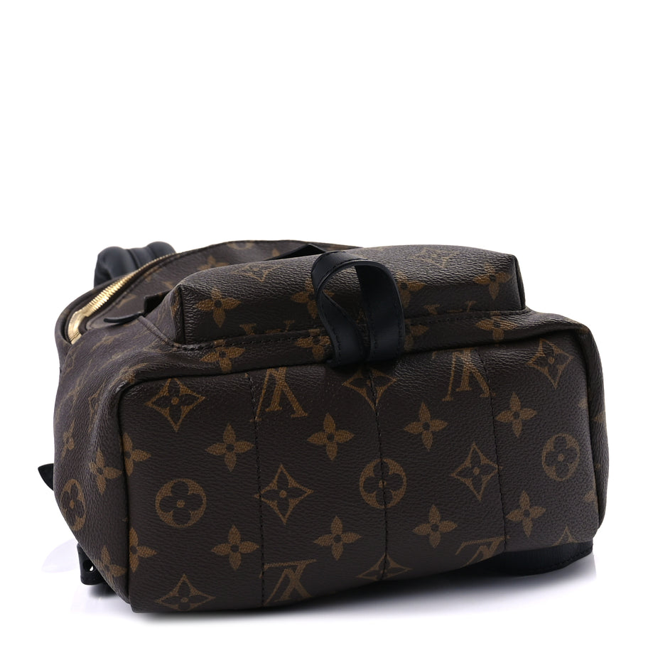 Louis Vuitton Monogram Palm Springs Backpack PM Image 3