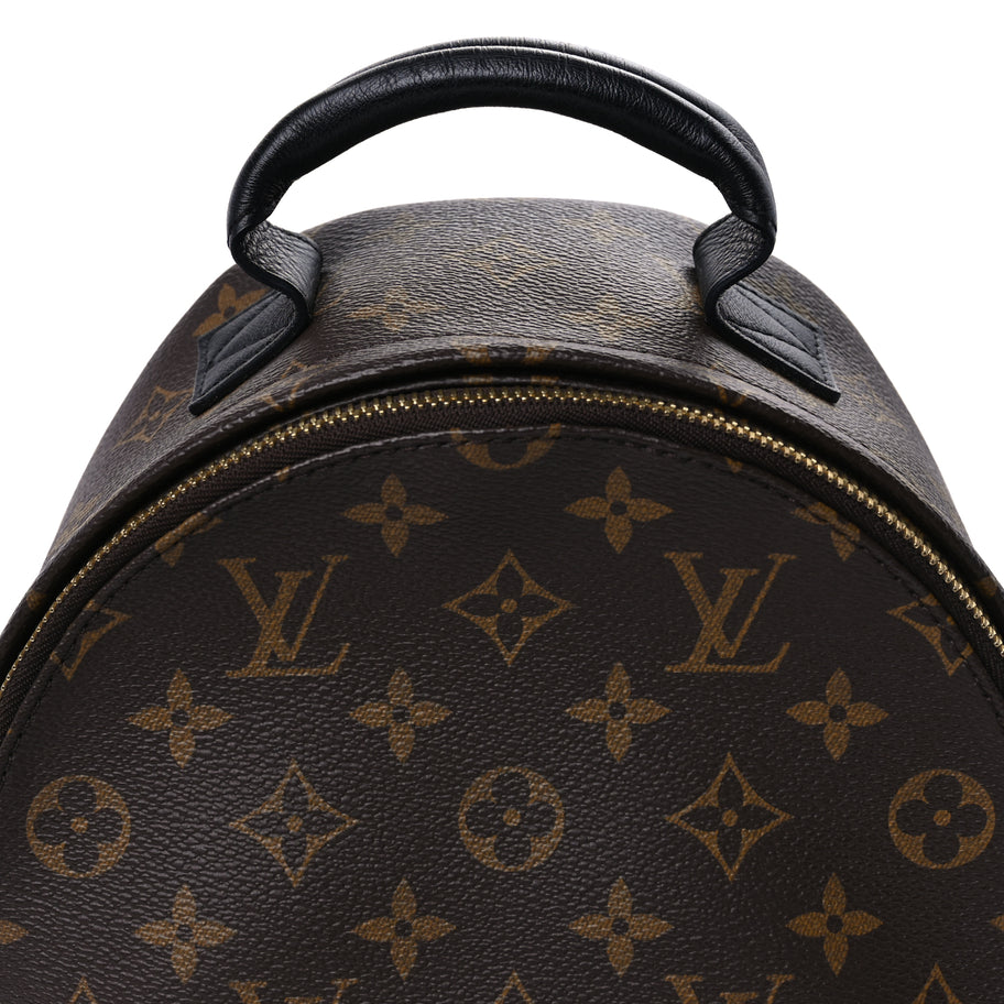 Louis Vuitton Monogram Palm Springs Backpack PM Image 4