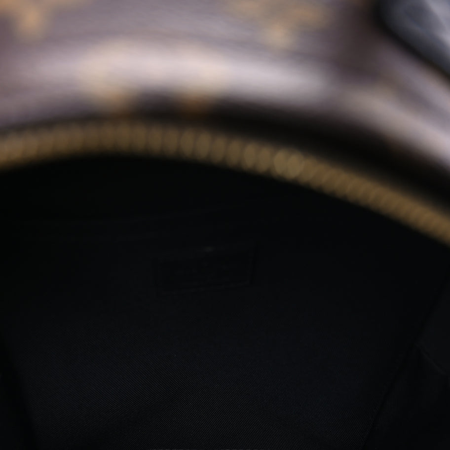 Louis Vuitton Monogram Palm Springs Backpack PM Image 5