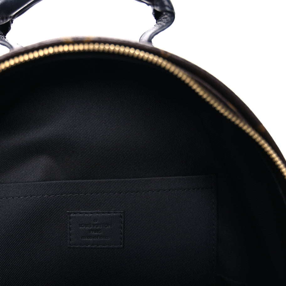Louis Vuitton Monogram Palm Springs Backpack PM Image 6