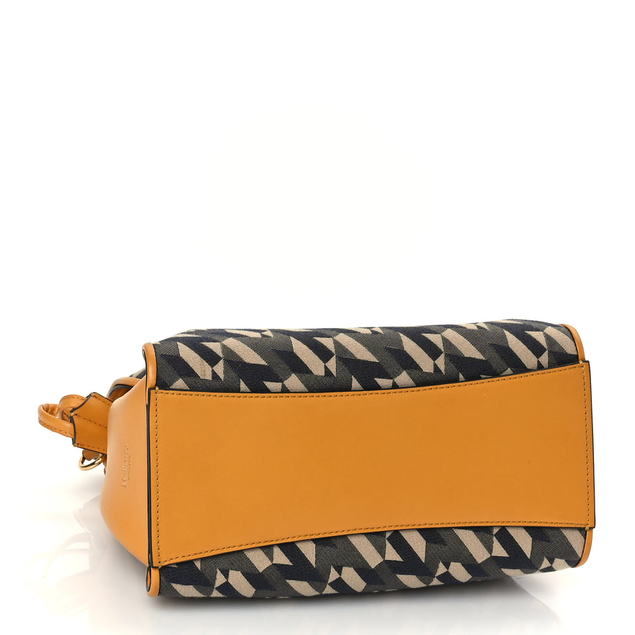 Mulberry Calfskin Canvas Print Small Iris Tote  Deep Amber Image 3