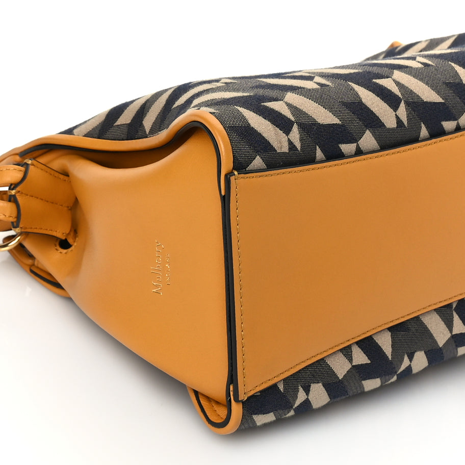 Mulberry Calfskin Canvas Print Small Iris Tote  Deep Amber Image 7