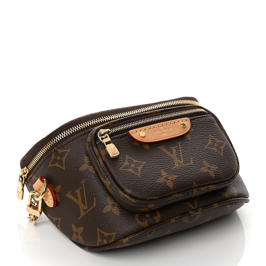 Louis Vuitton Monogram Mini Bum Bag  Monogram Image 3