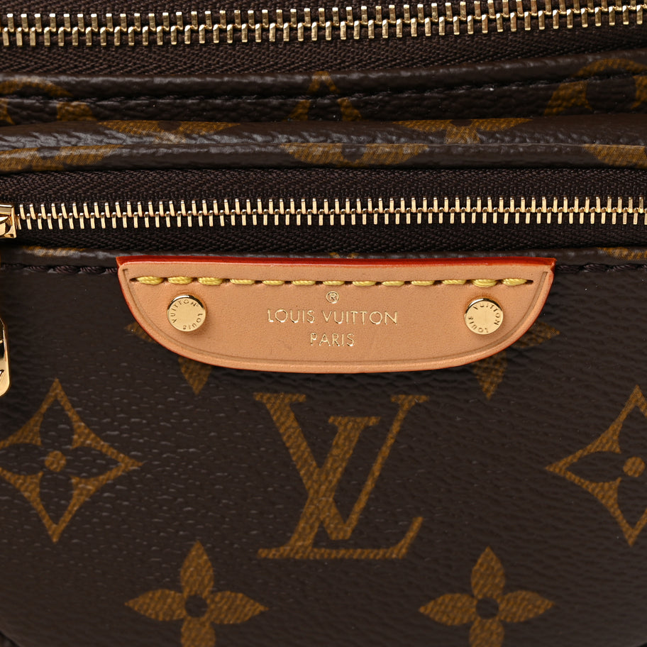 Louis Vuitton Monogram Mini Bum Bag  Monogram Image 6