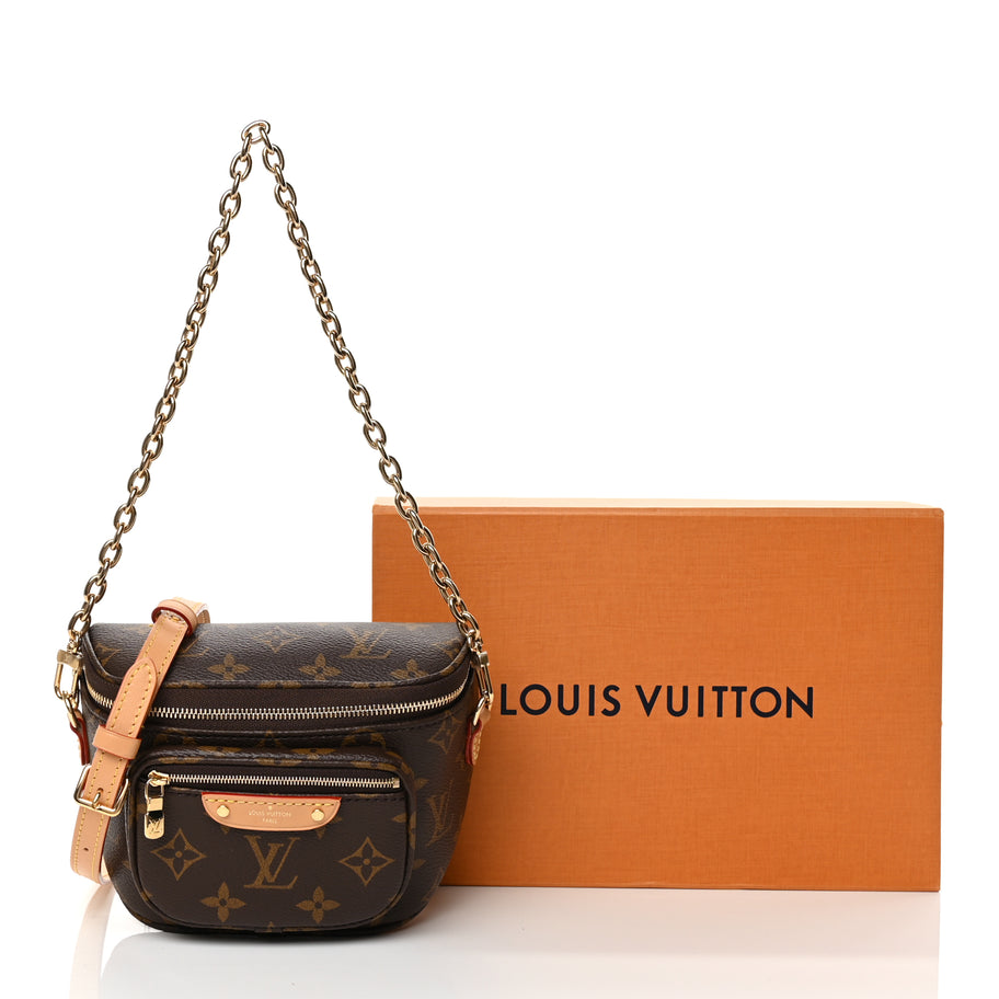 Louis Vuitton Monogram Mini Bum Bag  Monogram Image 9