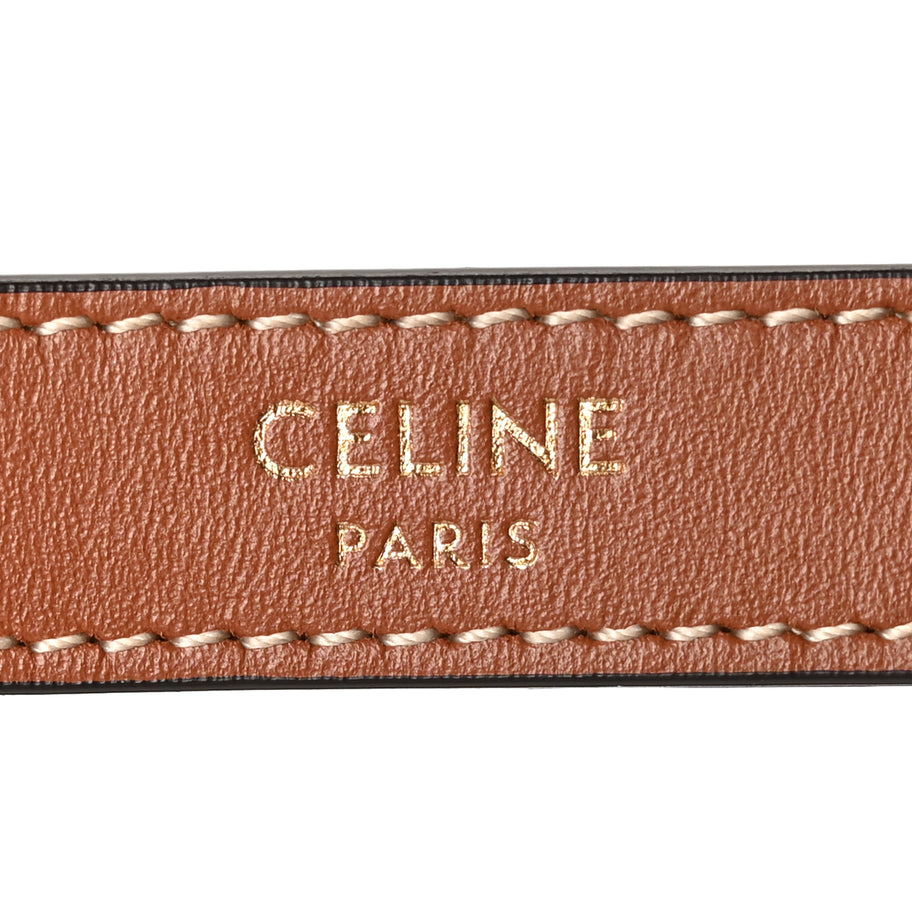 Celine Canvas Calfskin Mini Ava Triomphe Shoulder Bag Tan Image 5