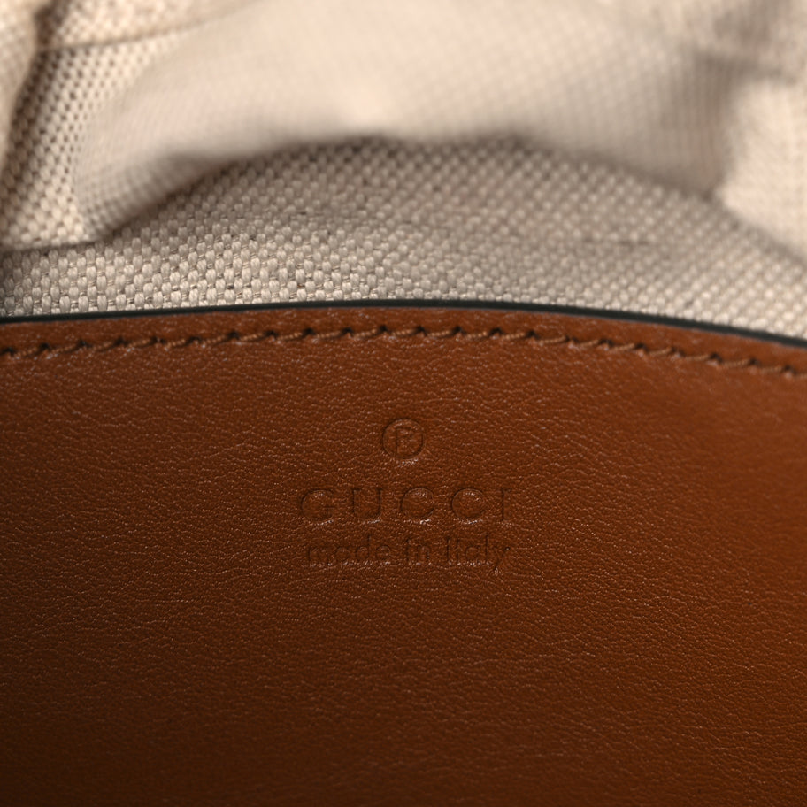 Gucci Raffia Calfskin Woven Mini Bucket Bag Brown Image 5