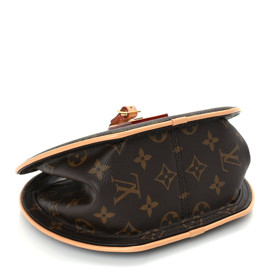 Louis Vuitton Reverse Monogram Around Me PM Image 4