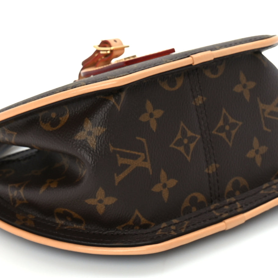 Louis Vuitton Reverse Monogram Around Me PM Image 8