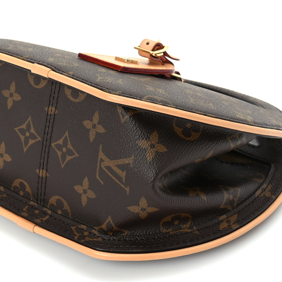 Louis Vuitton Reverse Monogram Around Me PM Image 9